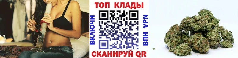 Где купить Змеиногорск Alpha-PVP  Меф мяу мяу  Канабис 